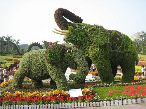 05.jpg